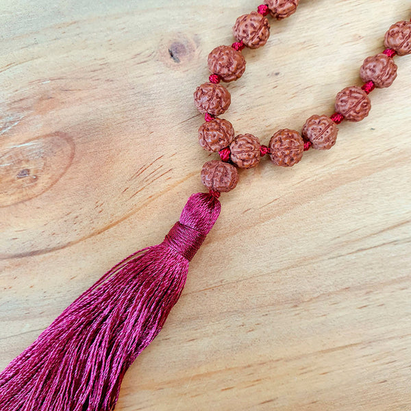 Mala de Rudraksha y Pómulo Rojo<br>Protección y Vitalidad 🔴